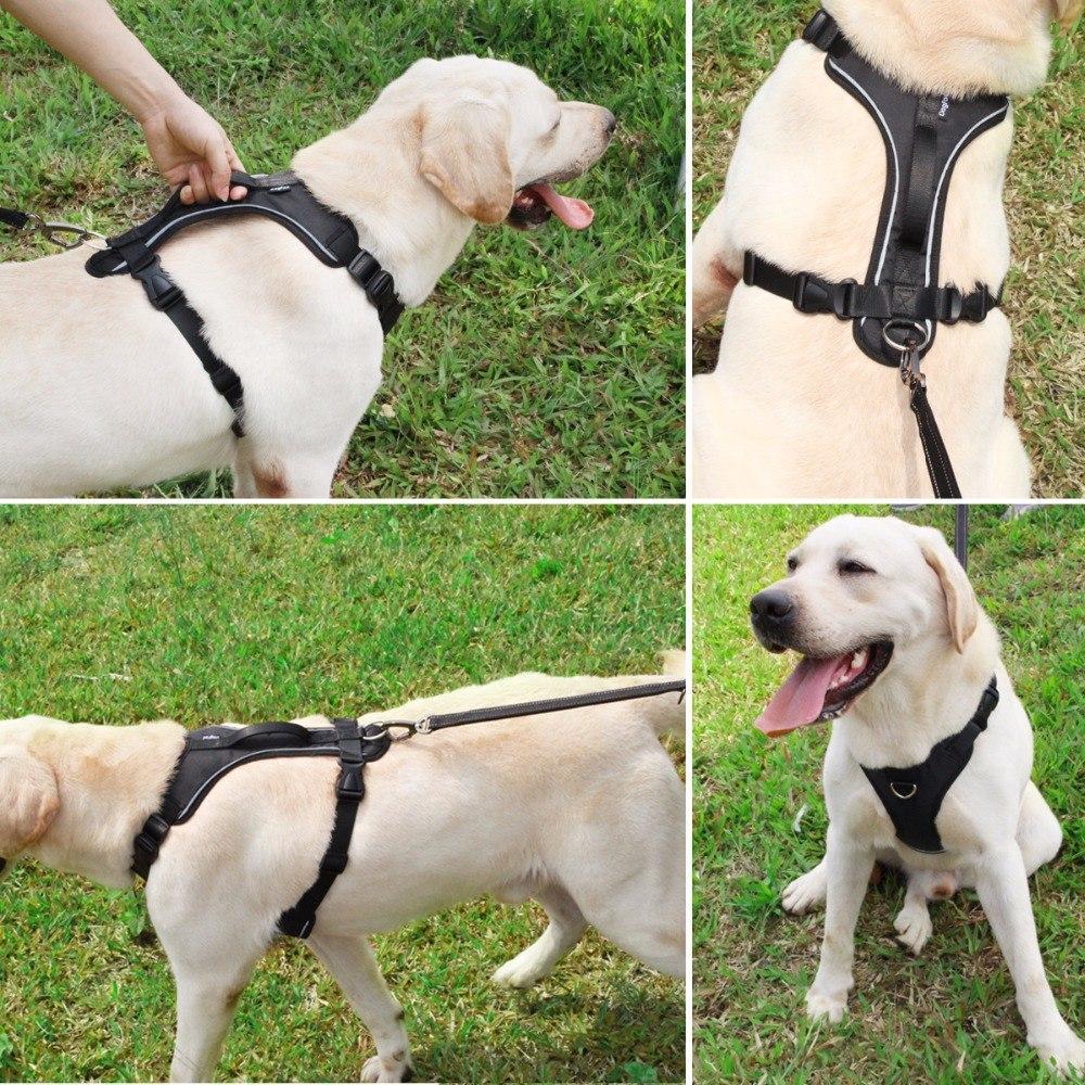 No-Pull Dog Friendly Harness