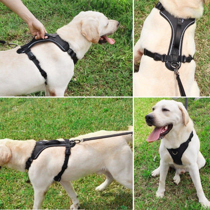 No-Pull Dog Friendly Harness