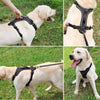 No-Pull Dog Friendly Harness