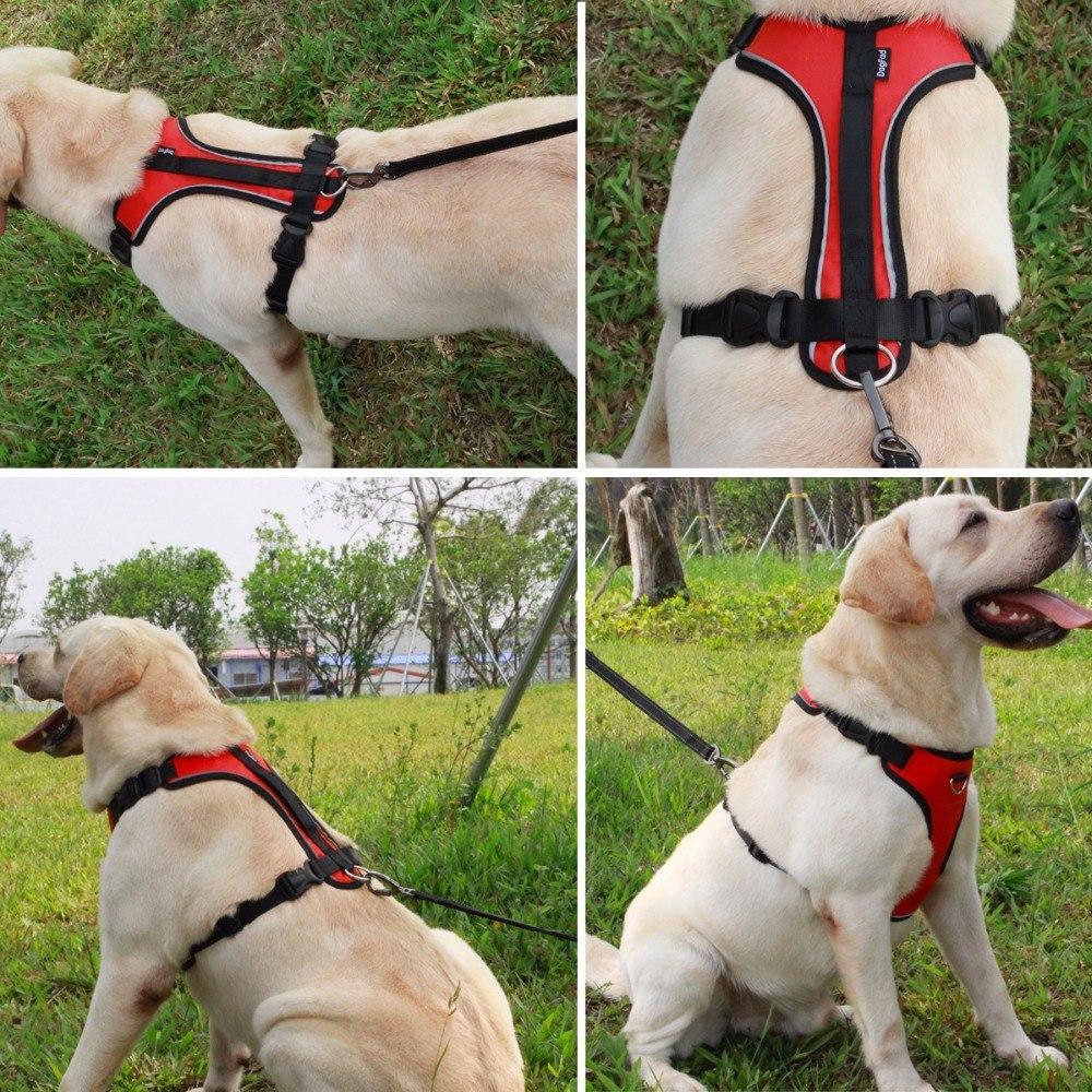 No-Pull Dog Friendly Harness
