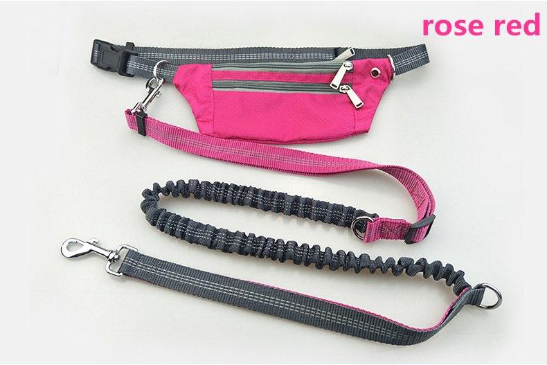 Ultimate 3-in-1 Handsfree Bungee Dog Leash