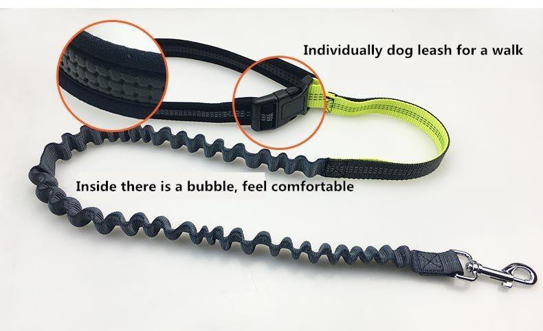 Ultimate 3-in-1 Handsfree Bungee Dog Leash