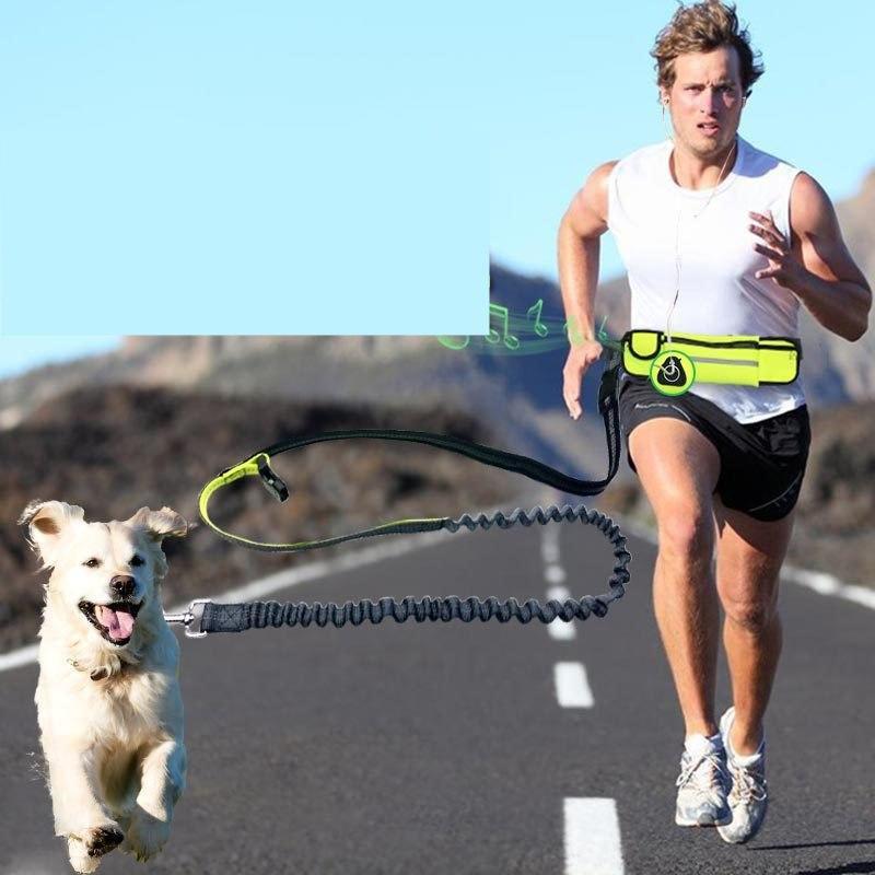 Ultimate 3-in-1 Handsfree Bungee Dog Leash