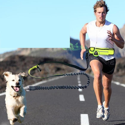 Ultimate 3-in-1 Handsfree Bungee Dog Leash