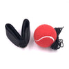Fight Ball Lomachenko Punching Ball Boxing Equipment Training