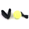Fight Ball Lomachenko Punching Ball Boxing Equipment Training