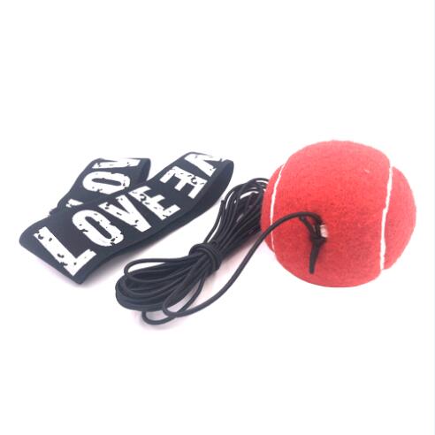Fighting Boxing Ball Equipment Head